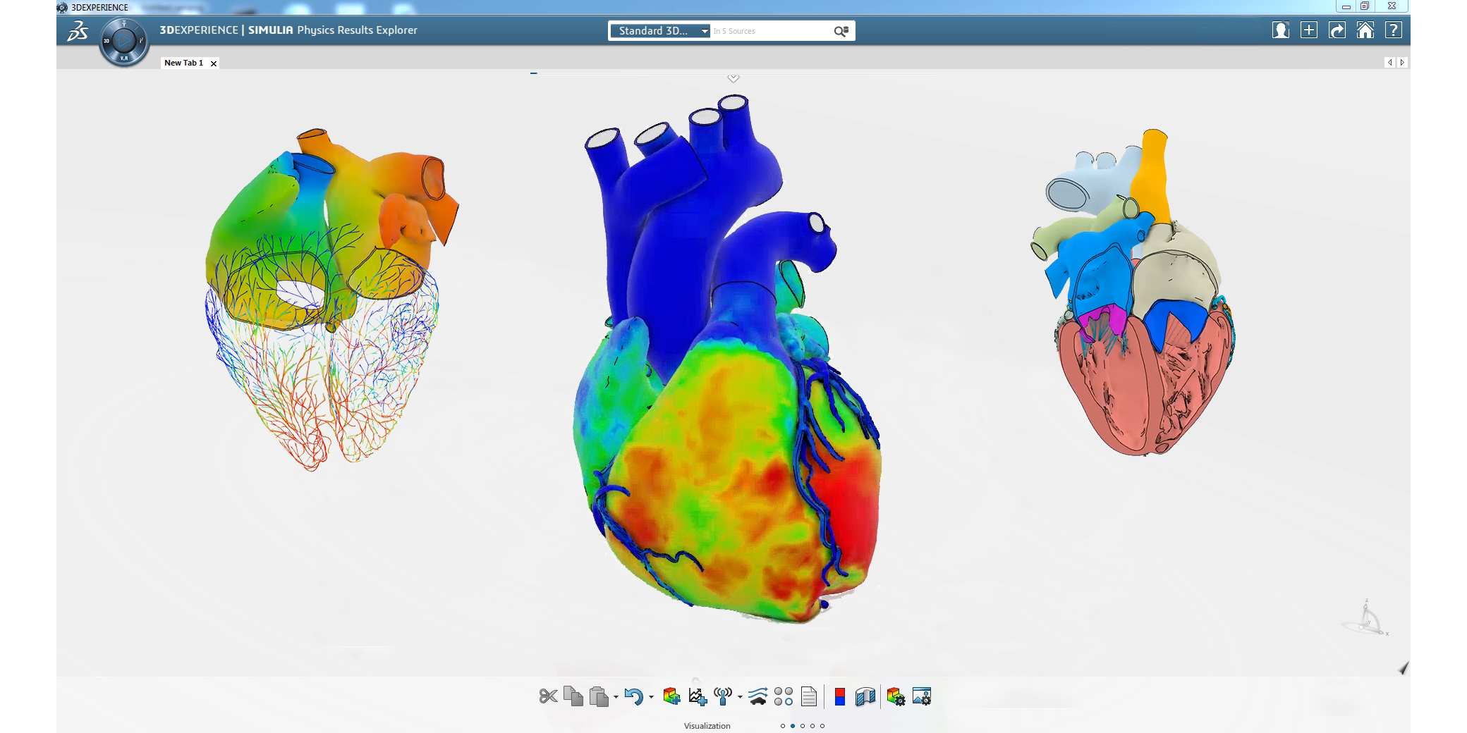 Living Heart Human Model